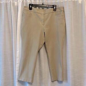Ann Taylor Tan Pants